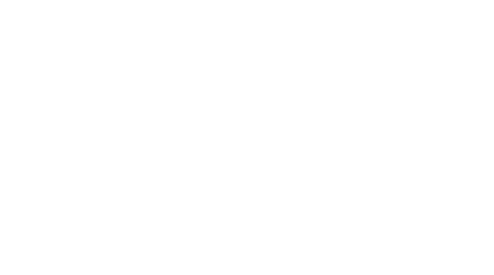 Solvstat Logo solvstat logo